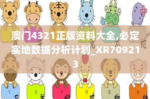 澳门4321正版资料大全,必定实地数据分析计划_XR709213