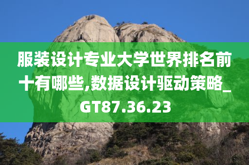 服装设计专业大学世界排名前十有哪些,数据设计驱动策略_GT87.36.23