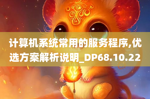 计算机系统常用的服务程序,优选方案解析说明_DP68.10.22