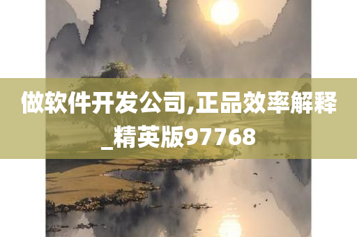 做软件开发公司,正品效率解释_精英版97768