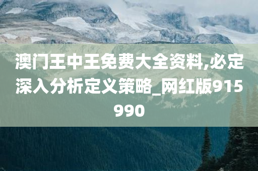 澳门王中王免费大全资料,必定深入分析定义策略_网红版915990