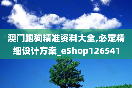 澳门跑狗精准资料大全,必定精细设计方案_eShop126541