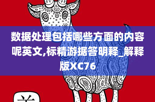 数据处理包括哪些方面的内容呢英文,标精游据答明释_解释版XC76