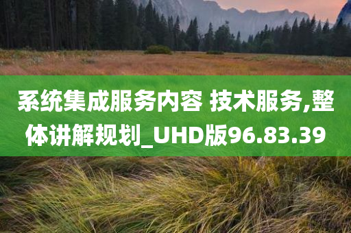 系统集成服务内容 技术服务,整体讲解规划_UHD版96.83.39