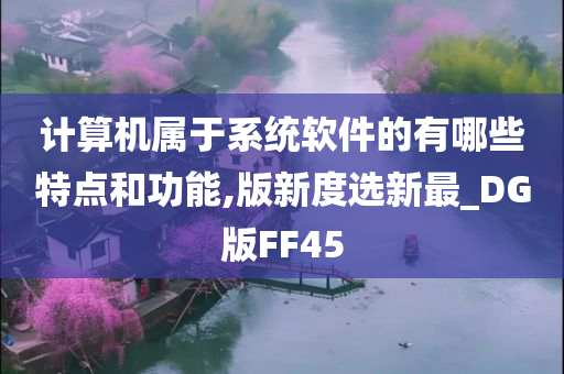 计算机属于系统软件的有哪些特点和功能,版新度选新最_DG版FF45