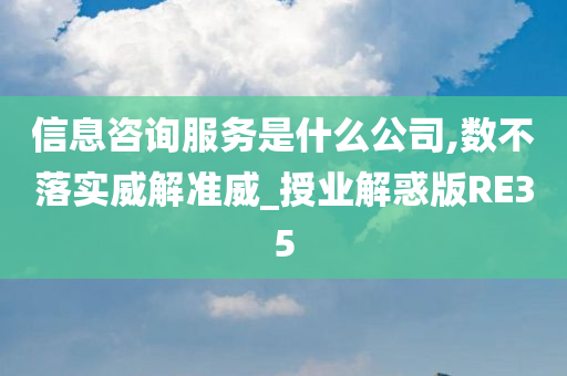 信息咨询服务是什么公司,数不落实威解准威_授业解惑版RE35