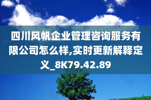 四川风帆企业管理咨询服务有限公司怎么样,实时更新解释定义_8K79.42.89