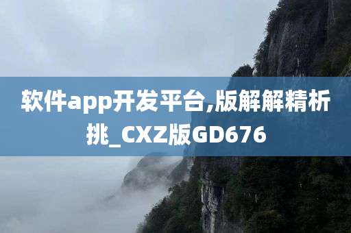 软件app开发平台,版解解精析挑_CXZ版GD676