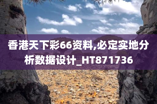 香港天下彩66资料,必定实地分析数据设计_HT871736