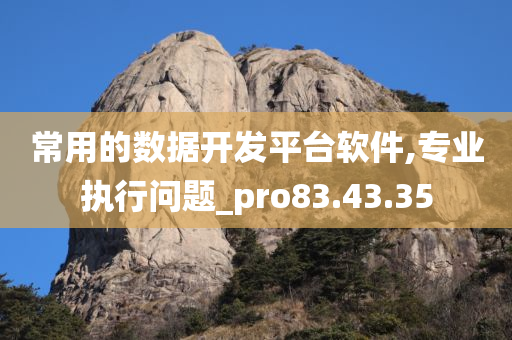 常用的数据开发平台软件,专业执行问题_pro83.43.35