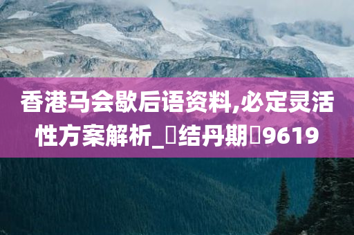 香港马会歇后语资料,必定灵活性方案解析_‌结丹期‌9619