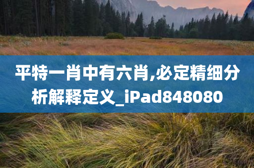 平特一肖中有六肖,必定精细分析解释定义_iPad848080