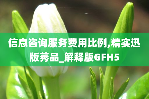 信息咨询服务费用比例,精实迅版莠品_解释版GFH5