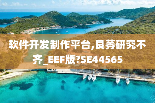 软件开发制作平台,良莠研究不齐_EEF版?SE44565