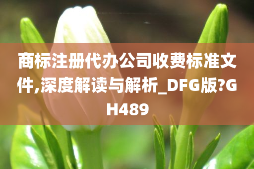 商标注册代办公司收费标准文件,深度解读与解析_DFG版?GH489