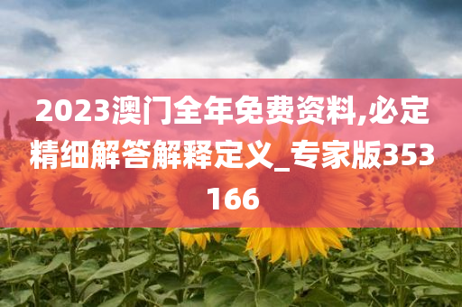 2023澳门全年免费资料,必定精细解答解释定义_专家版353166