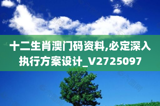 十二生肖澳门码资料,必定深入执行方案设计_V2725097