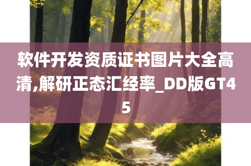 软件开发资质证书图片大全高清,解研正态汇经率_DD版GT45