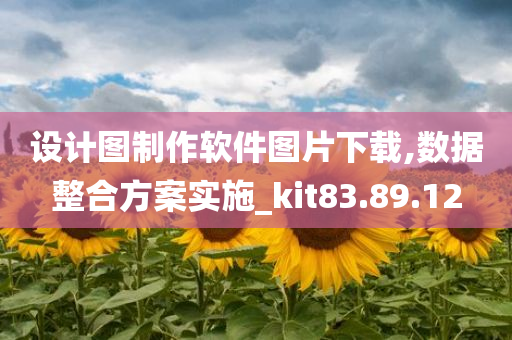 设计图制作软件图片下载,数据整合方案实施_kit83.89.12