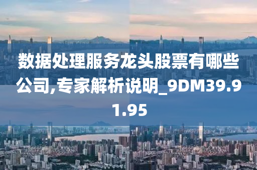 数据处理服务龙头股票有哪些公司,专家解析说明_9DM39.91.95