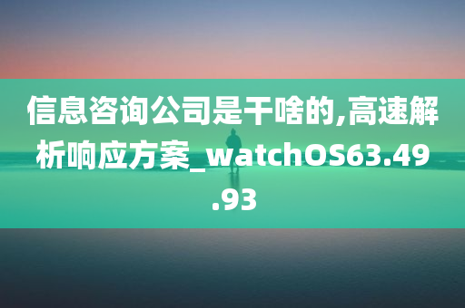 信息咨询公司是干啥的,高速解析响应方案_watchOS63.49.93