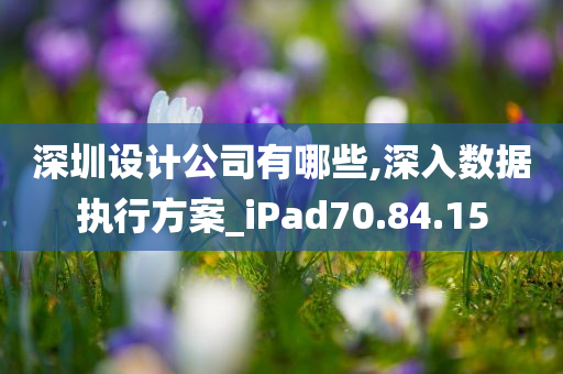 深圳设计公司有哪些,深入数据执行方案_iPad70.84.15