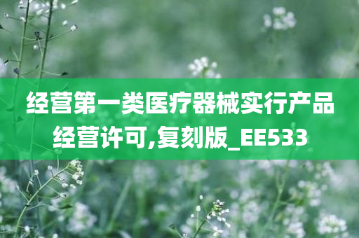 经营第一类医疗器械实行产品经营许可,复刻版_EE533