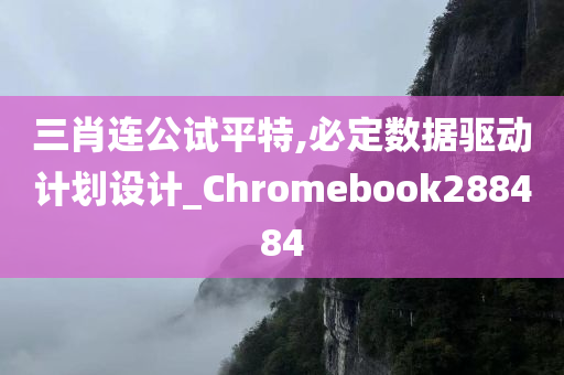 三肖连公试平特,必定数据驱动计划设计_Chromebook288484