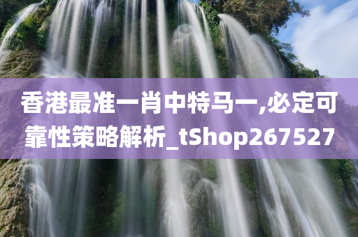 香港最准一肖中特马一,必定可靠性策略解析_tShop267527