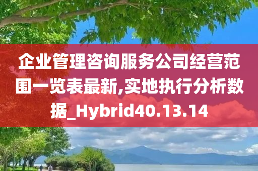 企业管理咨询服务公司经营范围一览表最新,实地执行分析数据_Hybrid40.13.14