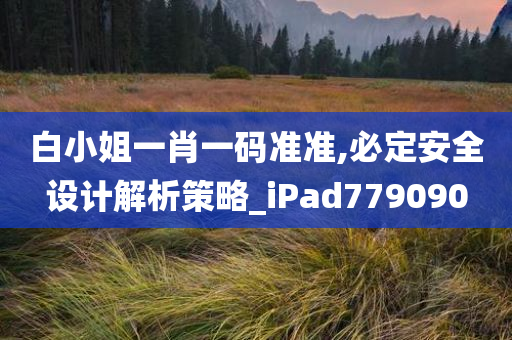 白小姐一肖一码准准,必定安全设计解析策略_iPad779090