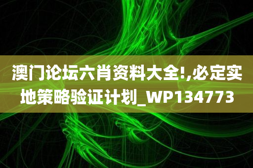 澳门论坛六肖资料大全!,必定实地策略验证计划_WP134773