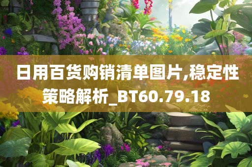 日用百货购销清单图片,稳定性策略解析_BT60.79.18