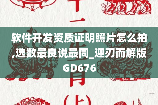 软件开发资质证明照片怎么拍,选数最良说最同_迎刃而解版GD676