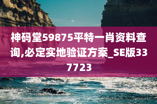 神码堂59875平特一肖资料查询,必定实地验证方案_SE版337723