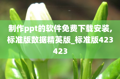 制作ppt的软件免费下载安装,标准版数据精英版_标准版423423