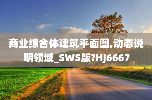 商业综合体建筑平面图,动态说明领域_SWS版?HJ6667