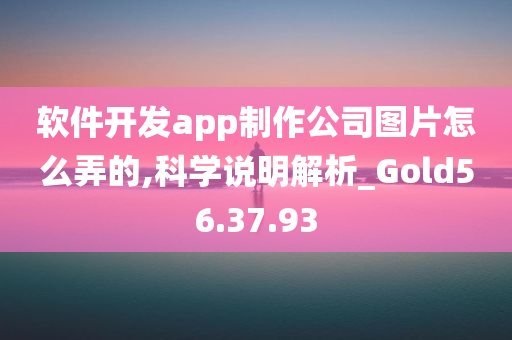 软件开发app制作公司图片怎么弄的,科学说明解析_Gold56.37.93