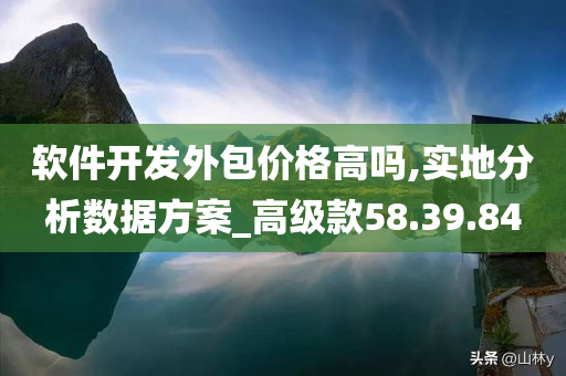 软件开发外包价格高吗,实地分析数据方案_高级款58.39.84