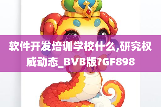 软件开发培训学校什么,研究权威动态_BVB版?GF898