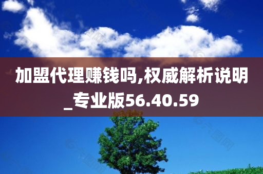 加盟代理赚钱吗,权威解析说明_专业版56.40.59