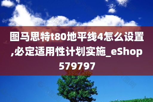 图马思特t80地平线4怎么设置,必定适用性计划实施_eShop579797