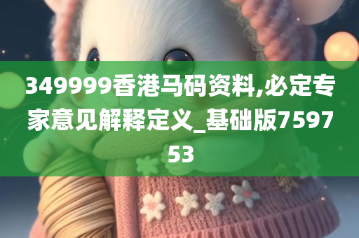 349999香港马码资料,必定专家意见解释定义_基础版759753