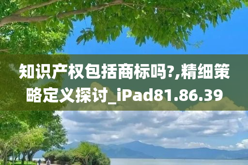 知识产权包括商标吗?,精细策略定义探讨_iPad81.86.39