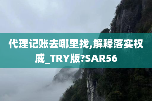 代理记账去哪里找,解释落实权威_TRY版?SAR56