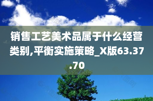 销售工艺美术品属于什么经营类别,平衡实施策略_X版63.37.70