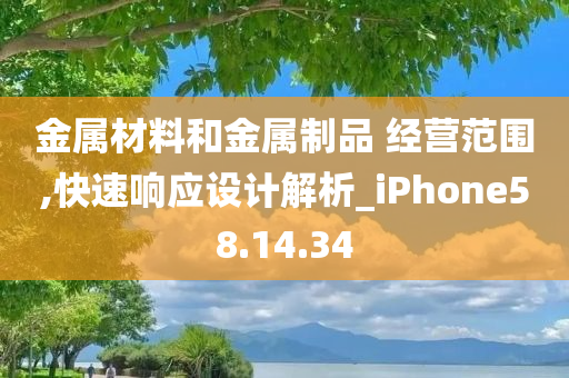 金属材料和金属制品 经营范围,快速响应设计解析_iPhone58.14.34