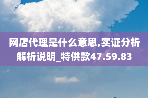 网店代理是什么意思,实证分析解析说明_特供款47.59.83