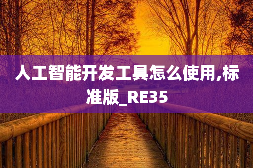 人工智能开发工具怎么使用,标准版_RE35