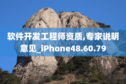 软件开发工程师资质,专家说明意见_iPhone48.60.79